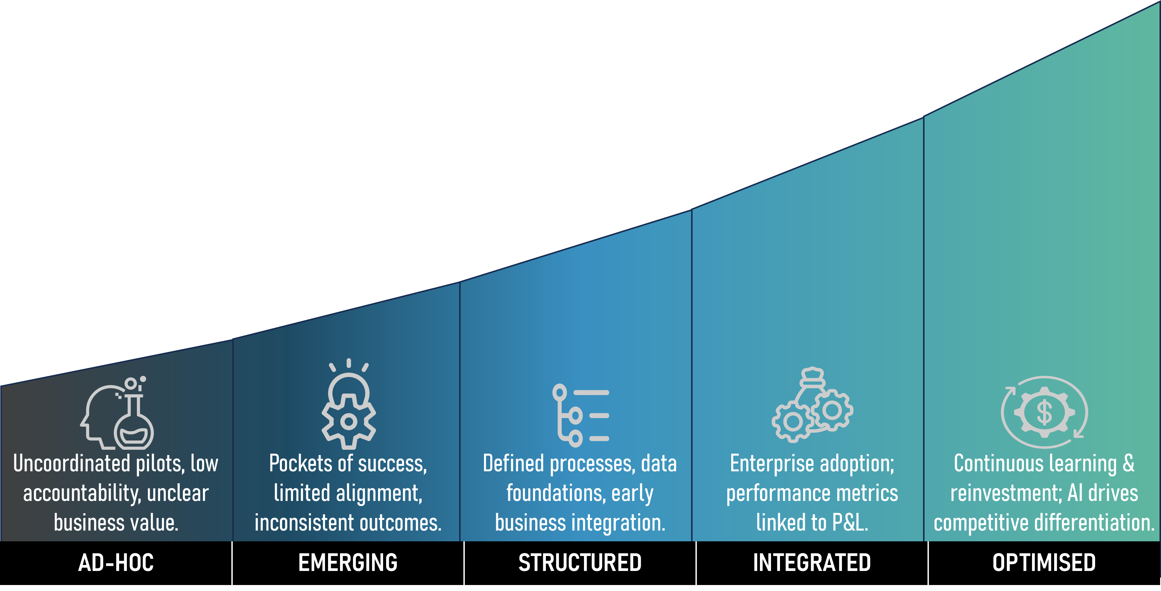 AIM Maturity Framework